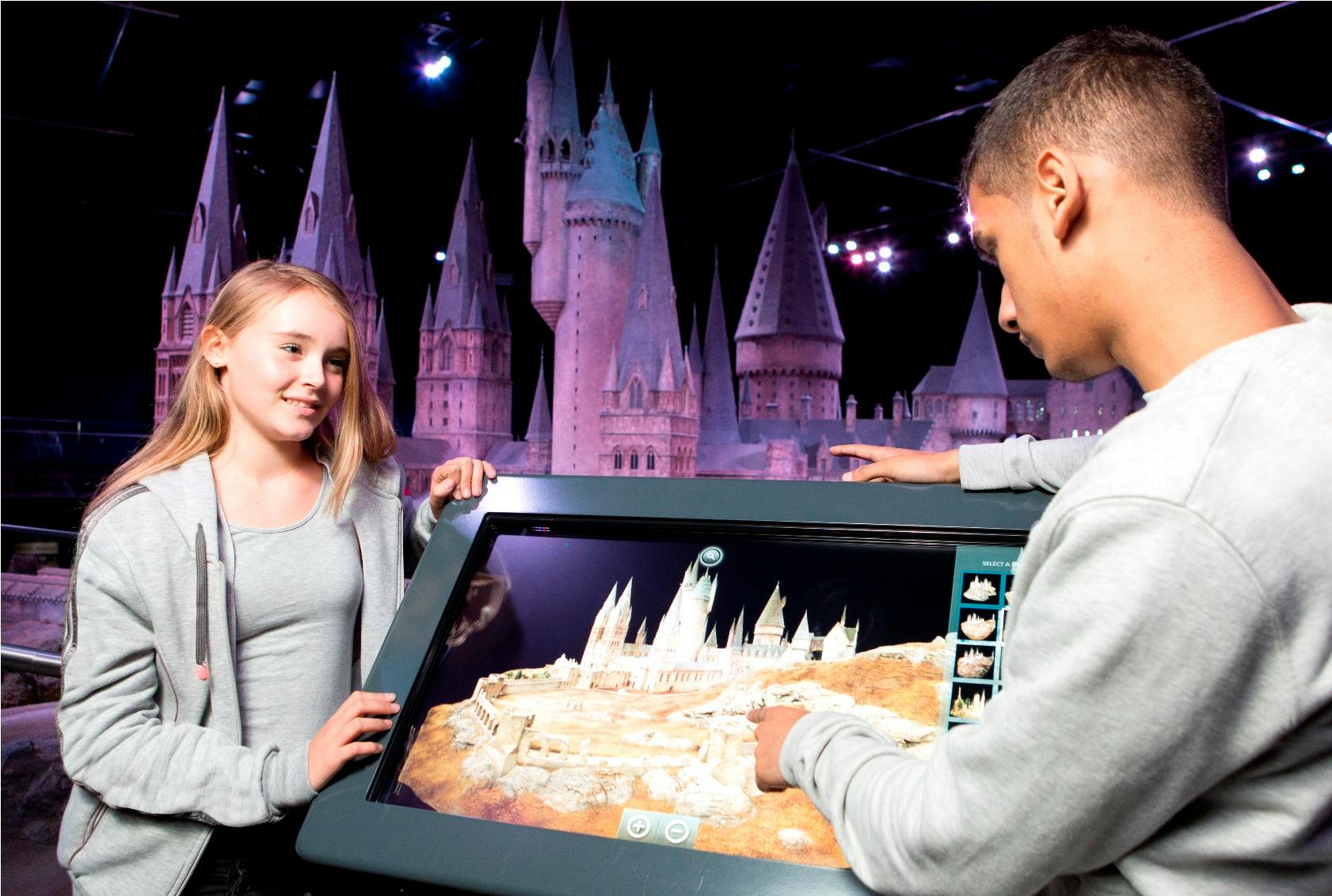 Harry Potter Warner Bros. Studio London: Entry + Transfer from London - 3