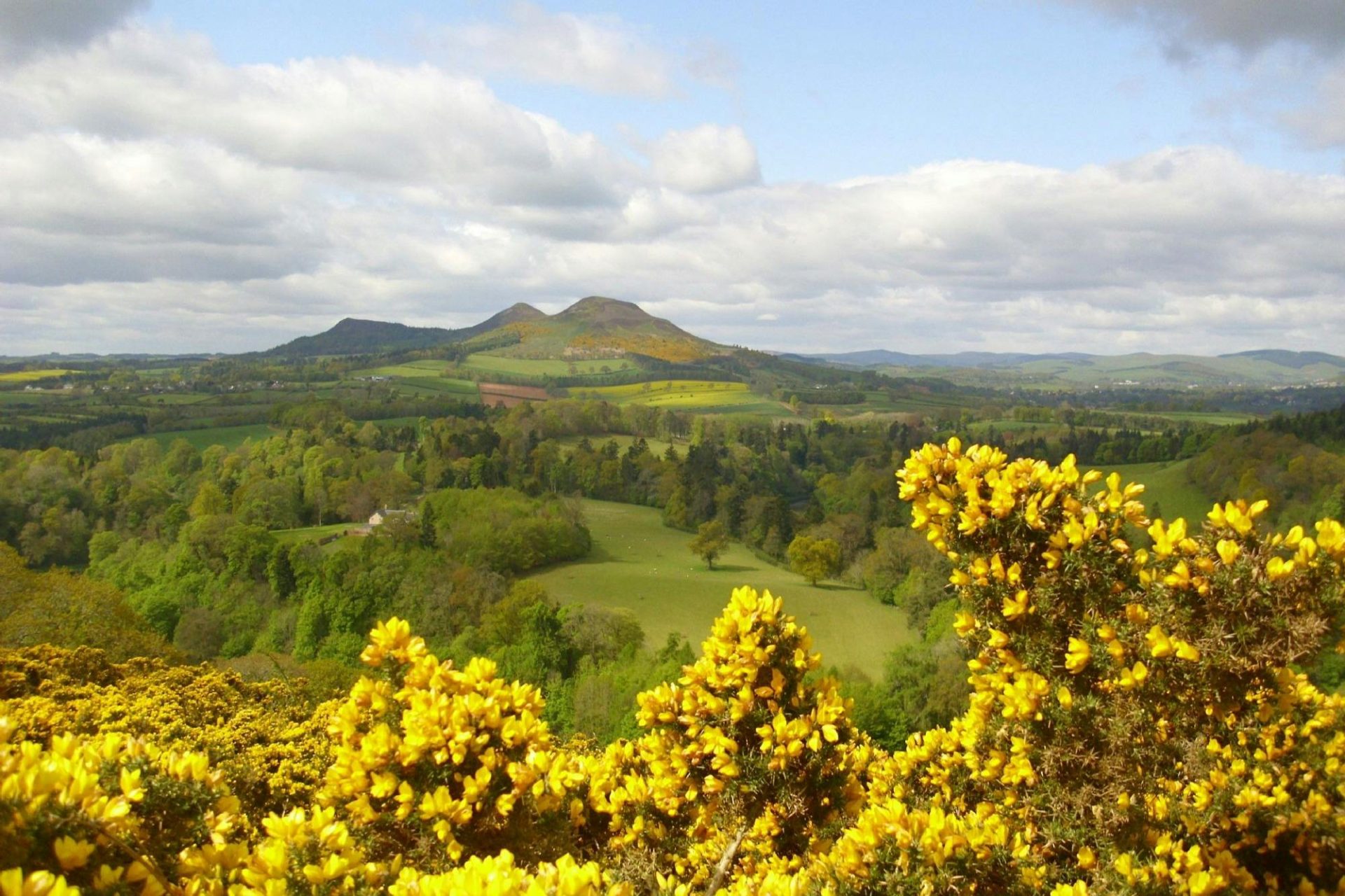 Rosslyn Chapel & Scottish Borders: Guided Tour from Edinburgh - 2