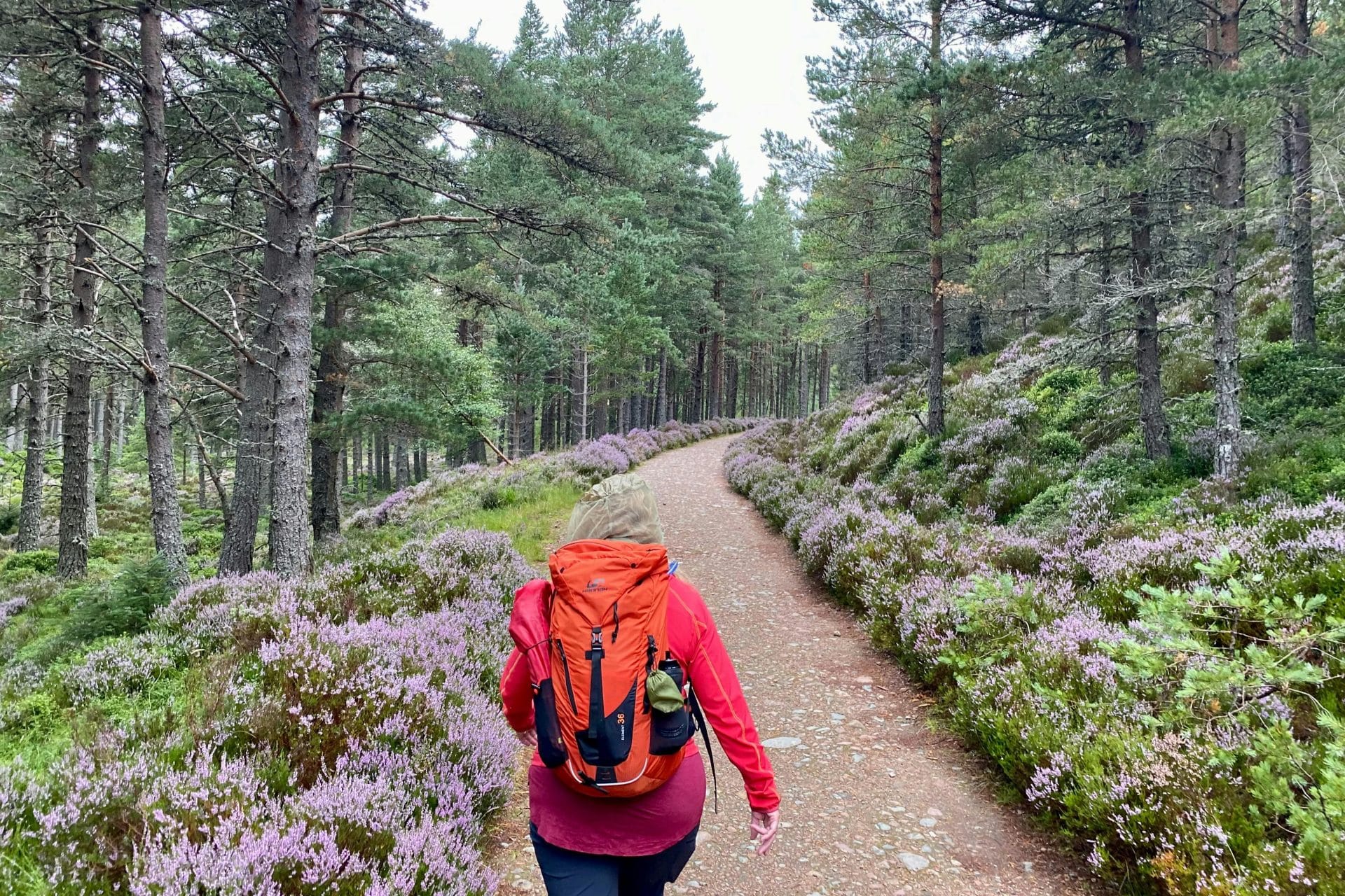Scottish Highlands: Walking Tour from Edinburgh - 2